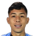 F. Faúndez González